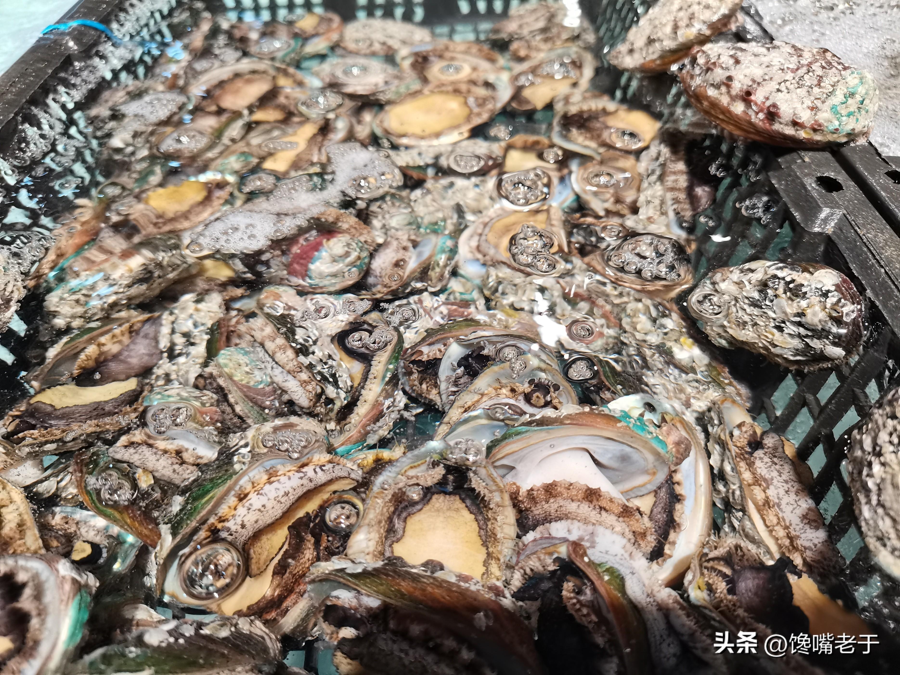好吃不贵的海鲜种类（价格实惠的海鲜有哪些）-5