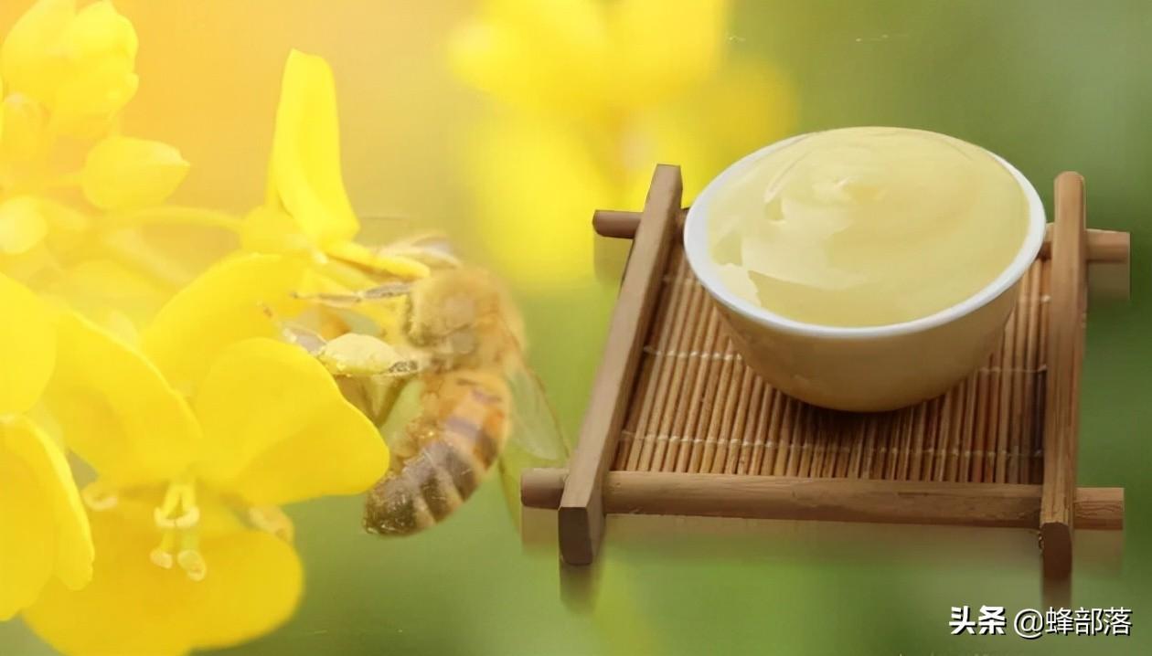 蜂王浆多少钱一斤（蜂王浆是什么东西）-6