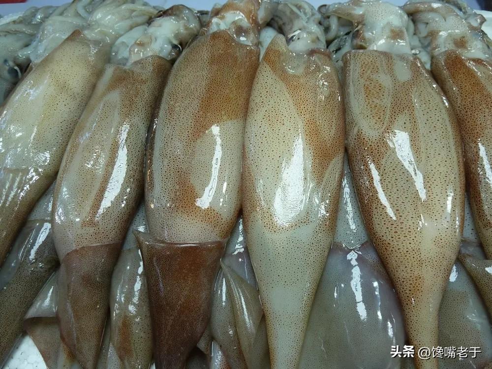 好吃不贵的海鲜种类（价格实惠的海鲜有哪些）-10