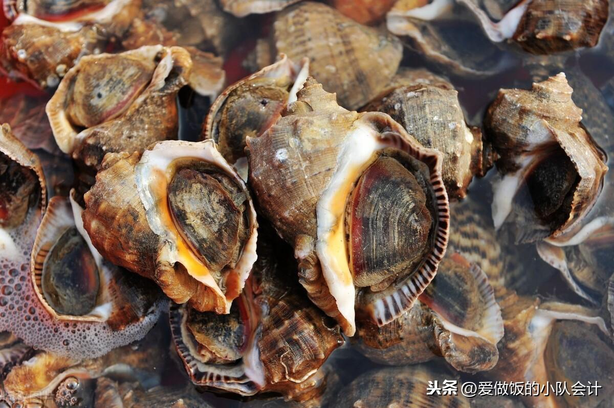 海螺清蒸还是水煮好（大海螺的正确吃法和做法）-1