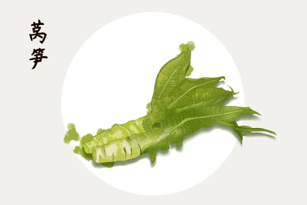 莴笋和莴苣是同一种蔬菜吗（莴笋和莴苣有什么区别）-1