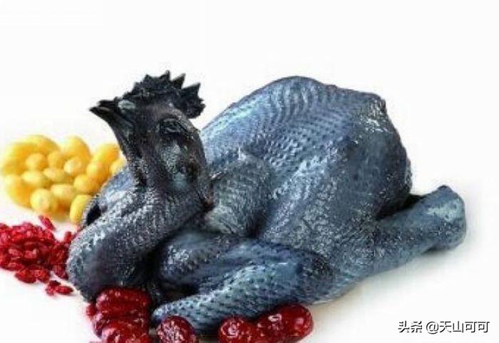 乌鸡和普通鸡的区别（详细对比）-1