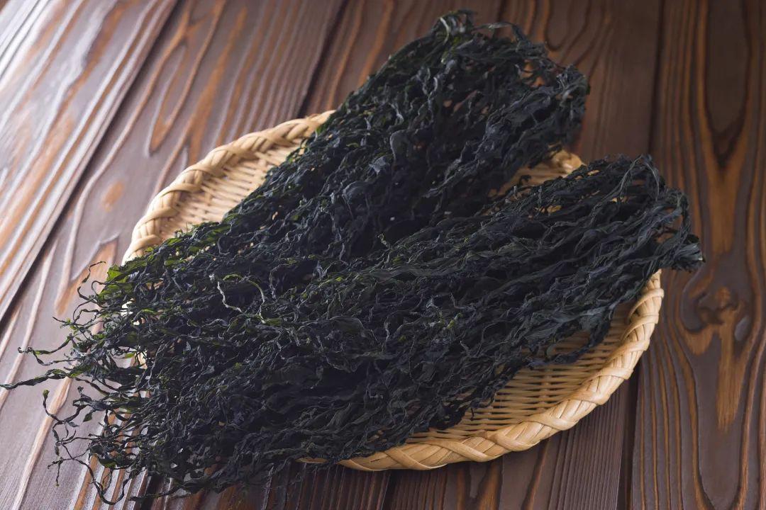 裙带菜的别名叫什么（裙带菜和海带的区别）-10