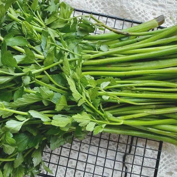芹菜能生吃吗（蔬菜是生吃好还是熟吃好）-18