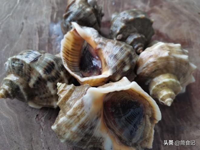 煮海螺用开水还是冷水好吃（煮海螺的正确方法）-3