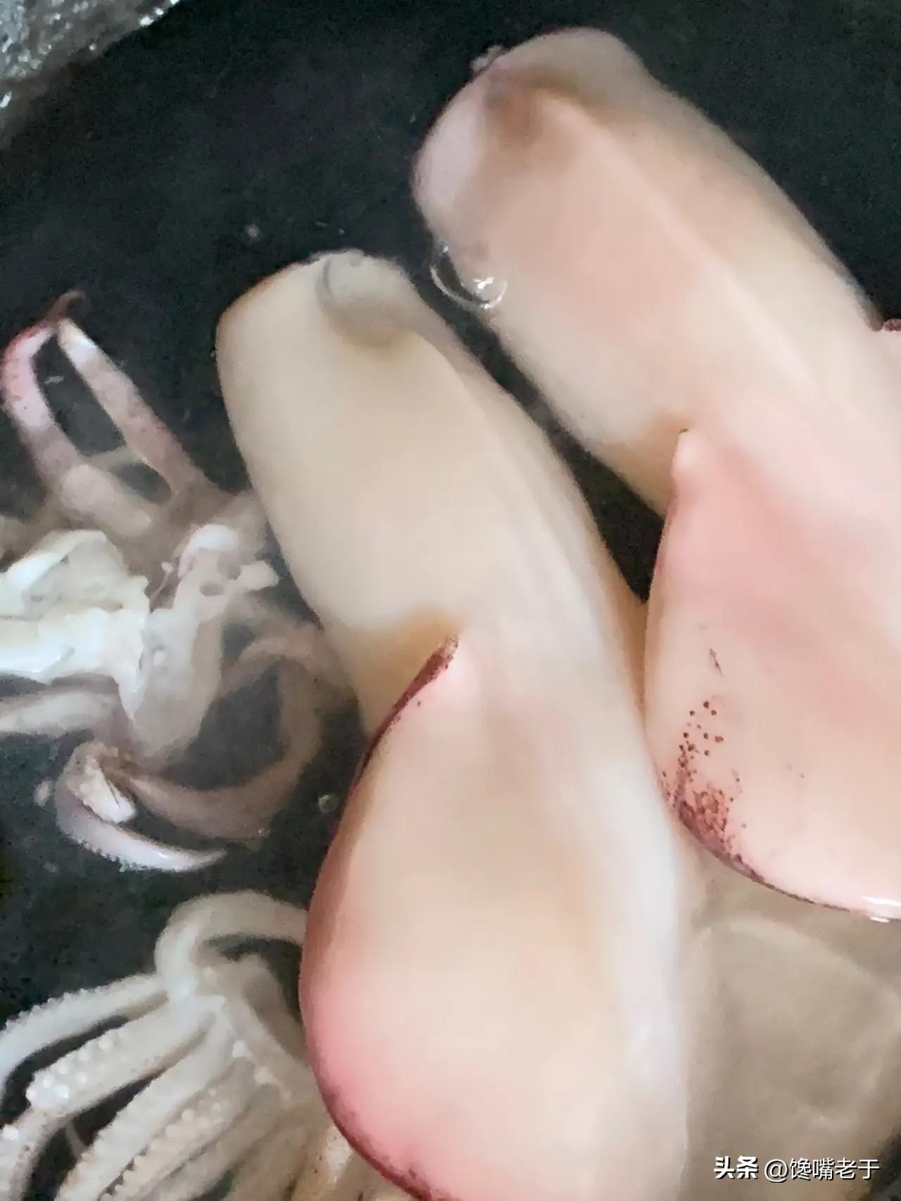 好吃不贵的海鲜种类（价格实惠的海鲜有哪些）-11