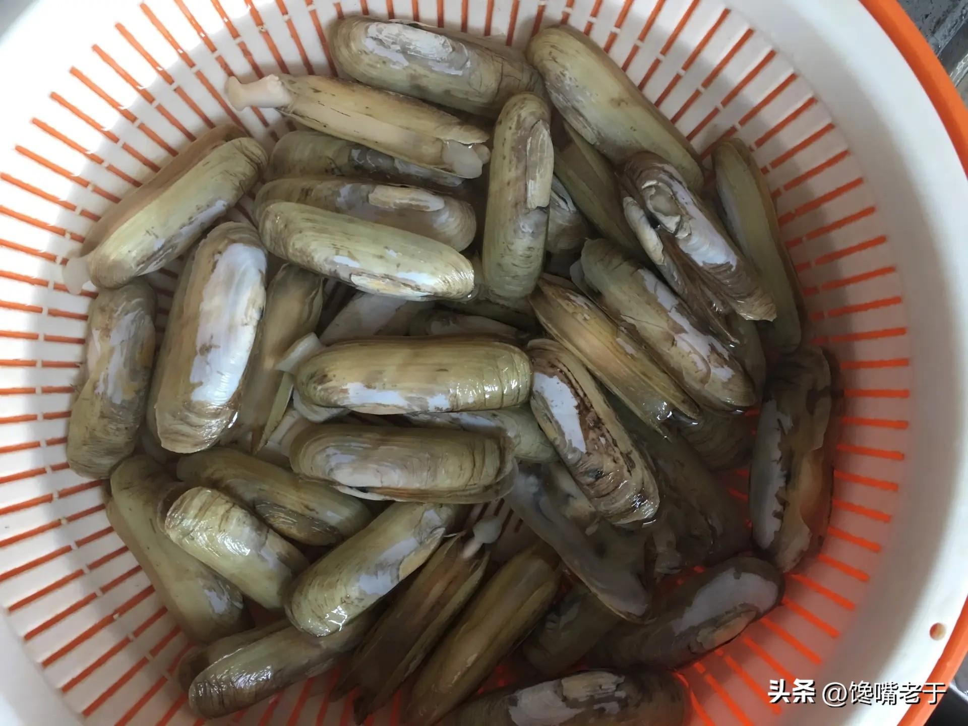 好吃不贵的海鲜种类（价格实惠的海鲜有哪些）-16