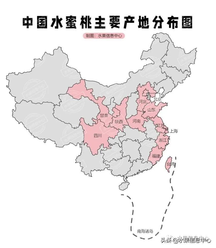 水蜜桃什么时候上市（水蜜桃最出名的产地是哪里）-1