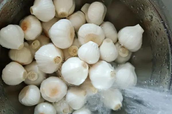 糖蒜腌制几天可以食用（水晶糖蒜的腌制方法）-10