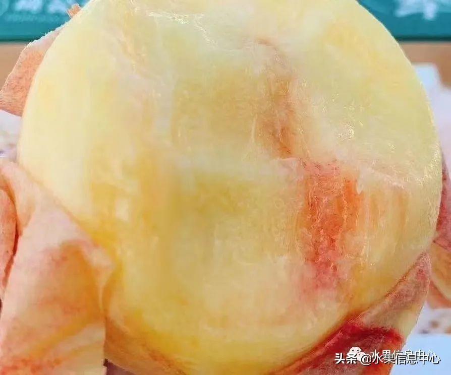 水蜜桃什么时候上市（水蜜桃最出名的产地是哪里）-11