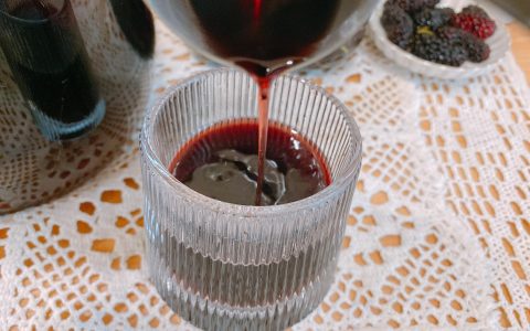 桑葚酒比例多少（桑葚干泡酒的正确做法）