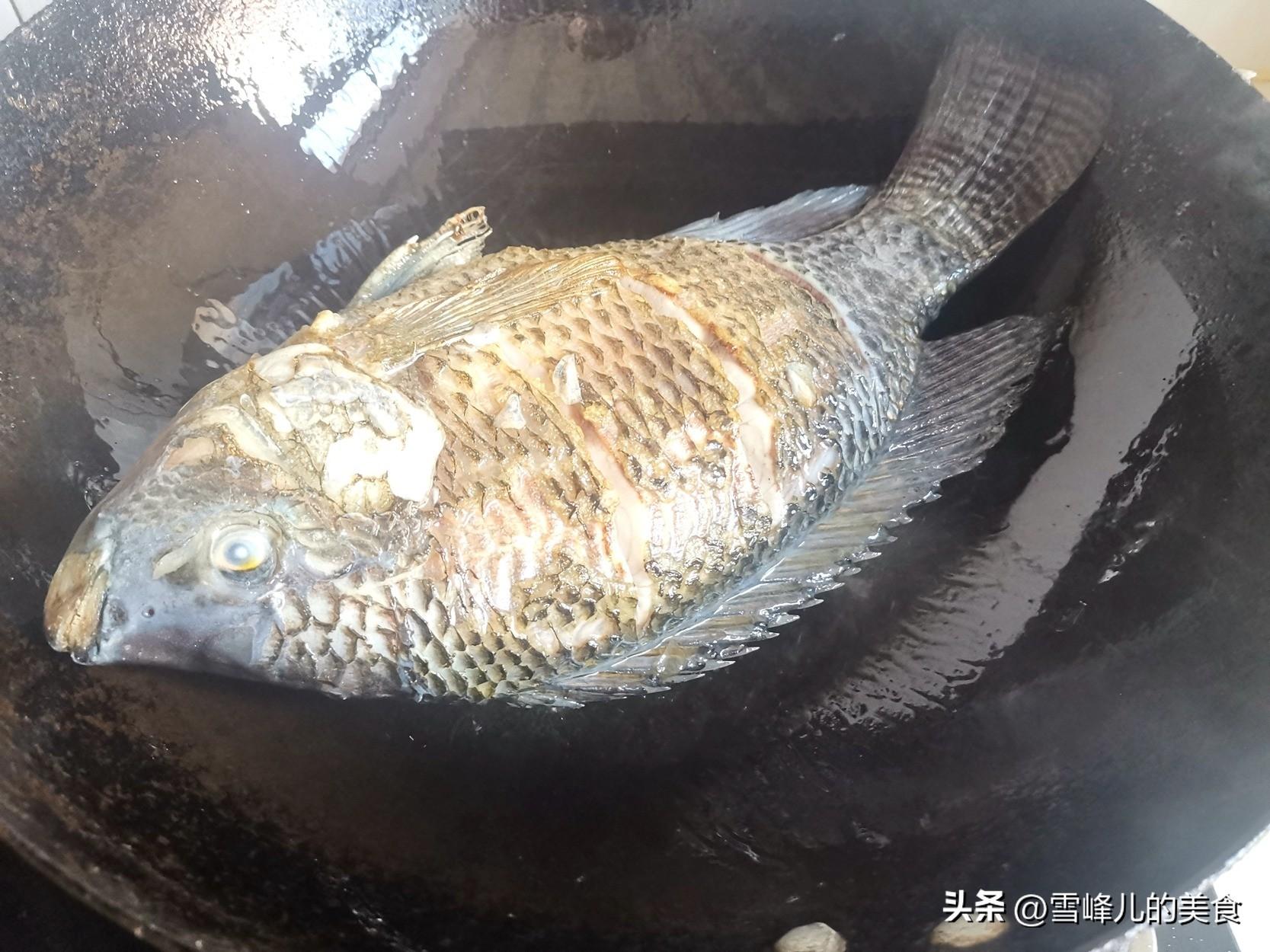 罗非鱼是海鱼吗（罗非鱼多少钱一斤）-6