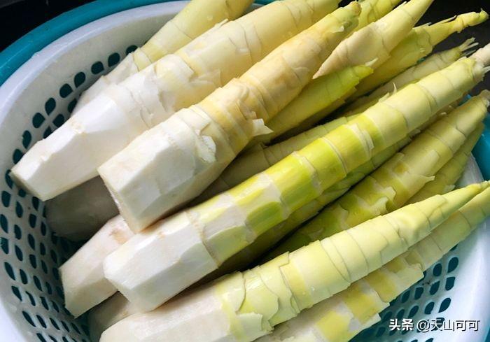 竹笋需要焯水吗（炒竹笋片的家常做法）-1