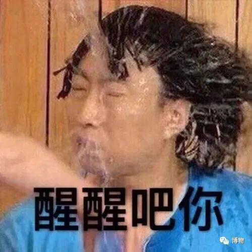 巴沙鱼是鲶鱼吗（巴沙鱼为什么那么便宜）-2