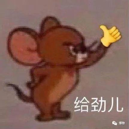 巴沙鱼是鲶鱼吗（巴沙鱼为什么那么便宜）-13