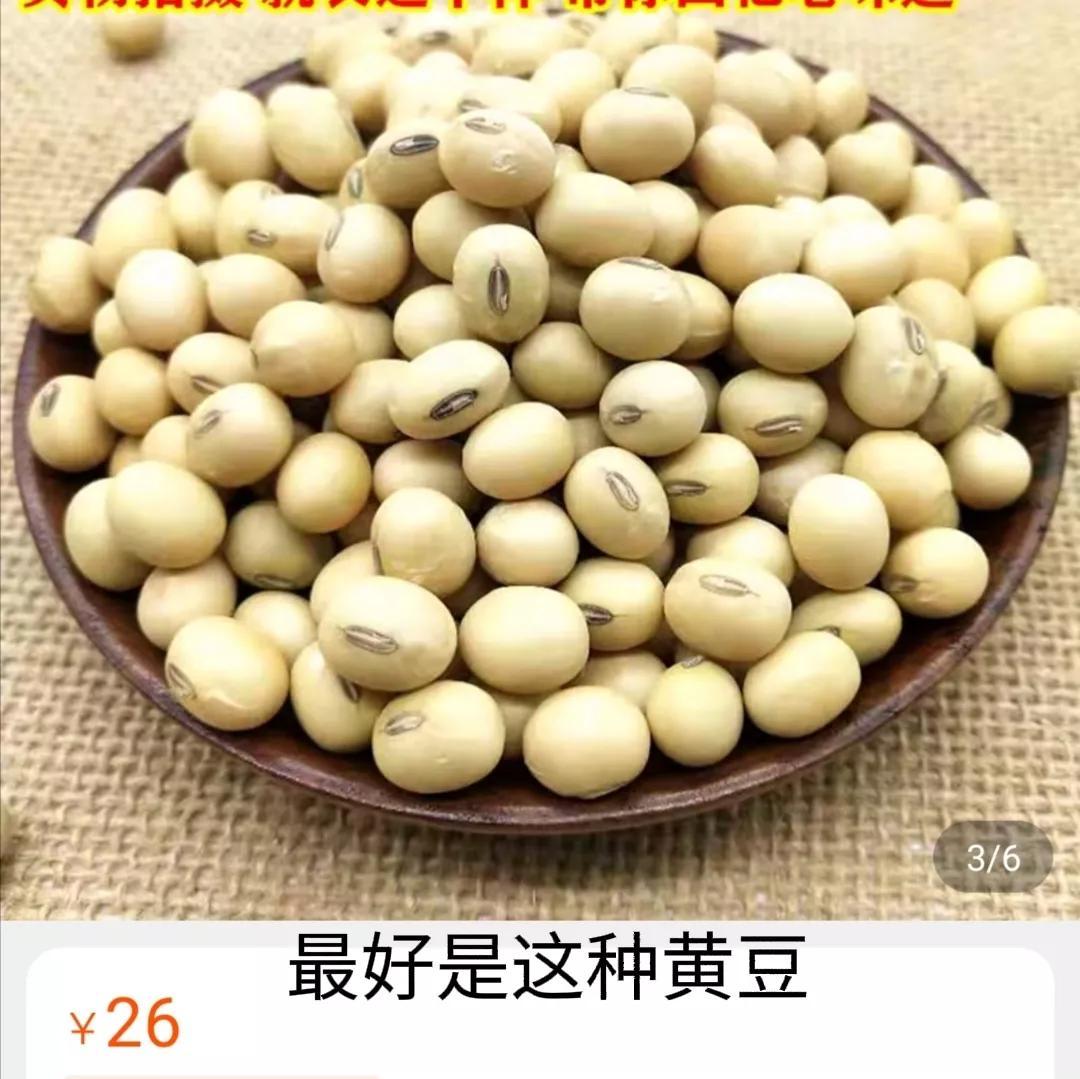 豆浆煮多长时间就熟了（豆浆什么豆子最好）-3