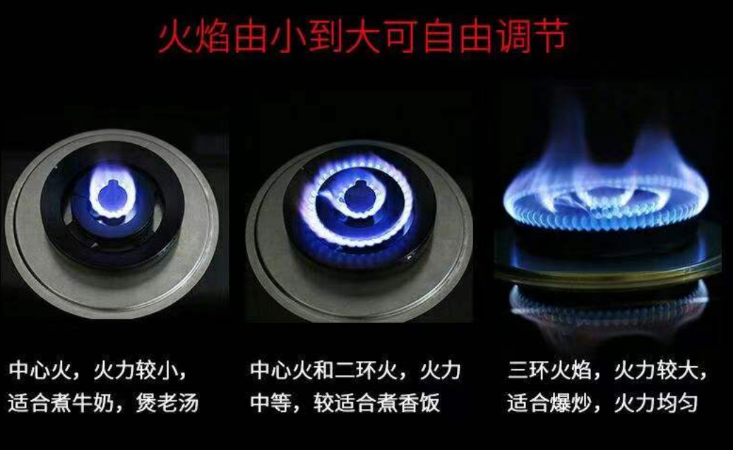 东北猪肉炖粉条的做法 猪肉粉条炖白菜的做法-8