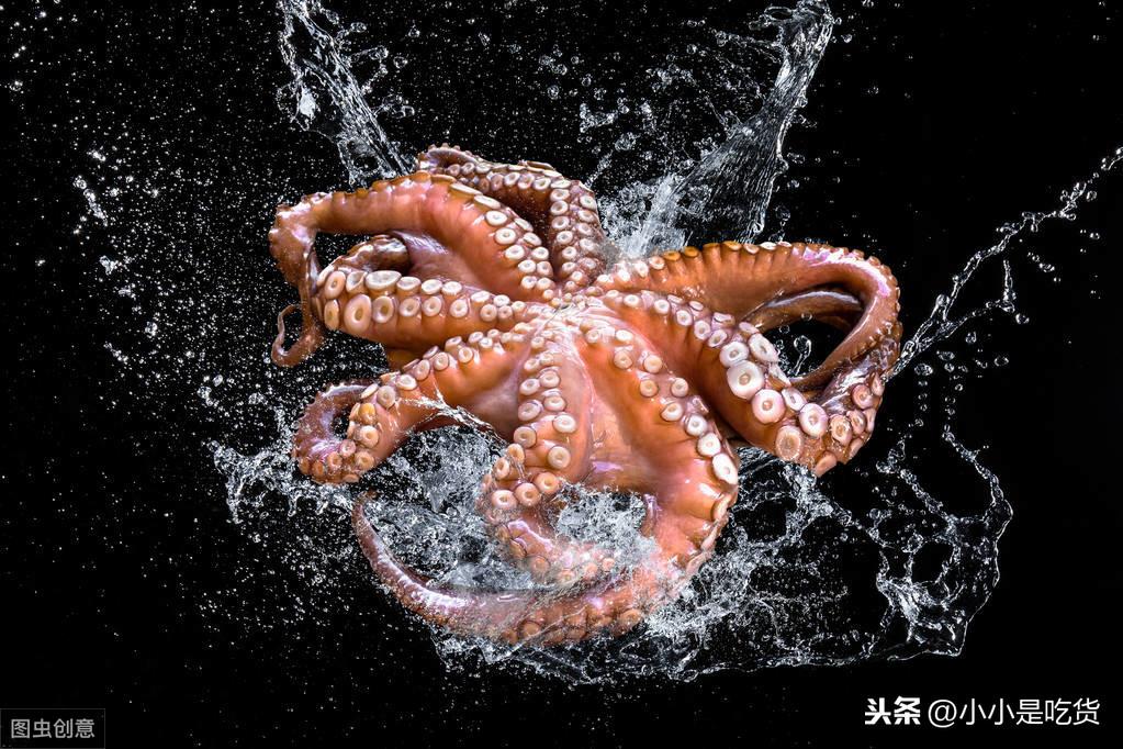 冷冻八爪鱼怎么处理干净（麻辣八爪鱼的做法分享）-2