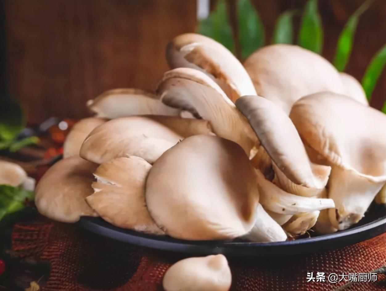 平菇可以放冰箱冷藏几天（平菇能否放冰箱）-8