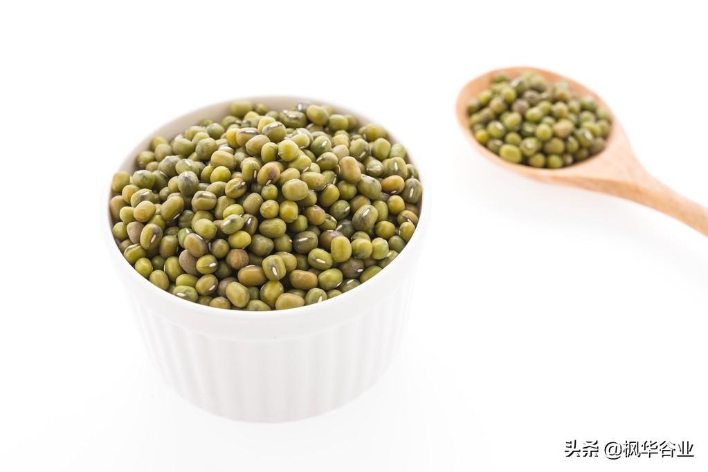绿豆有保质期是一年吗？-5