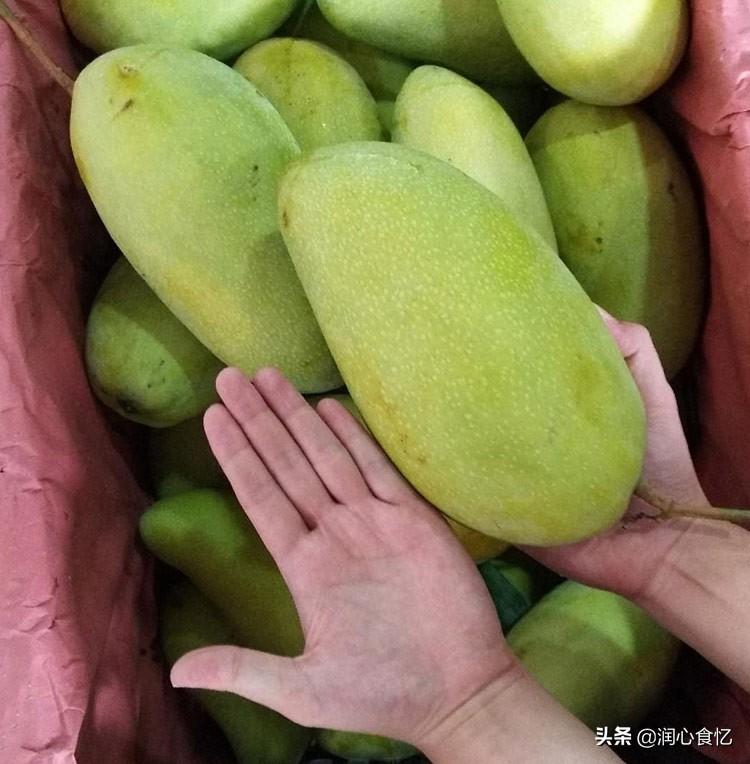 大青芒是不是可以直接吃（特别大的芒果能吃吗）-1