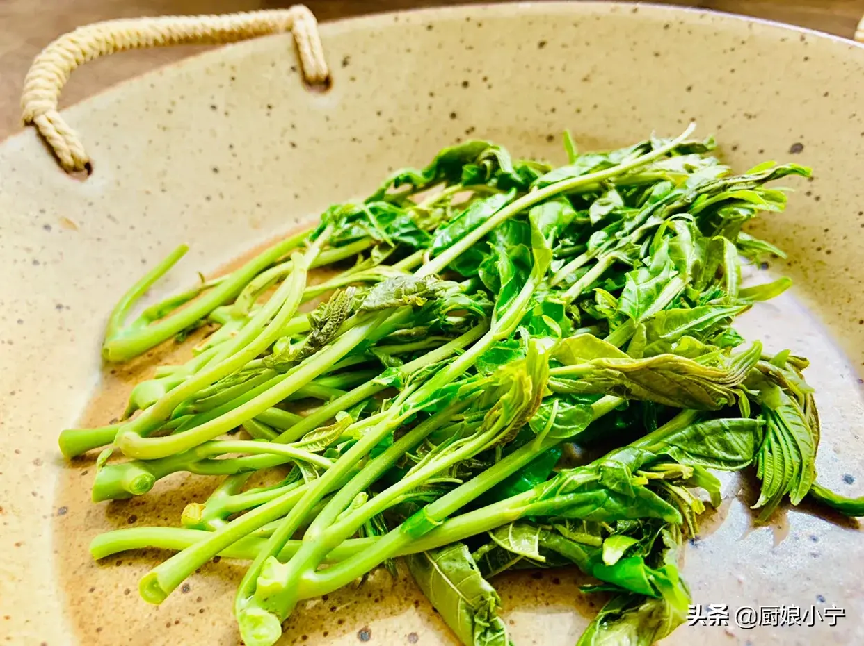 香椿的食用方法有哪些 香椿能做什么菜-5