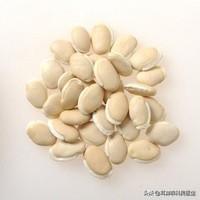 白扁豆和白白芸豆有什么区别？-1