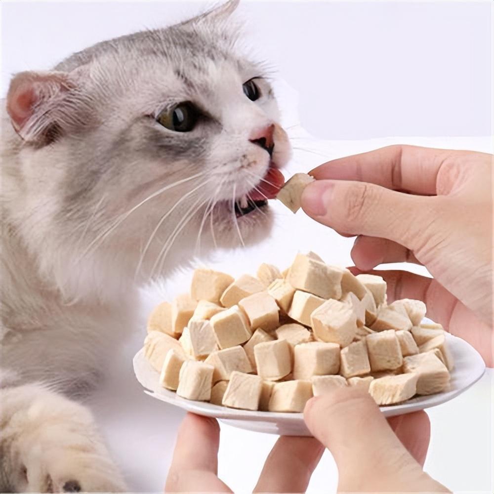 猫咪红薯吃多了会怎么样（宠物猫咪可以吃的东西）-7