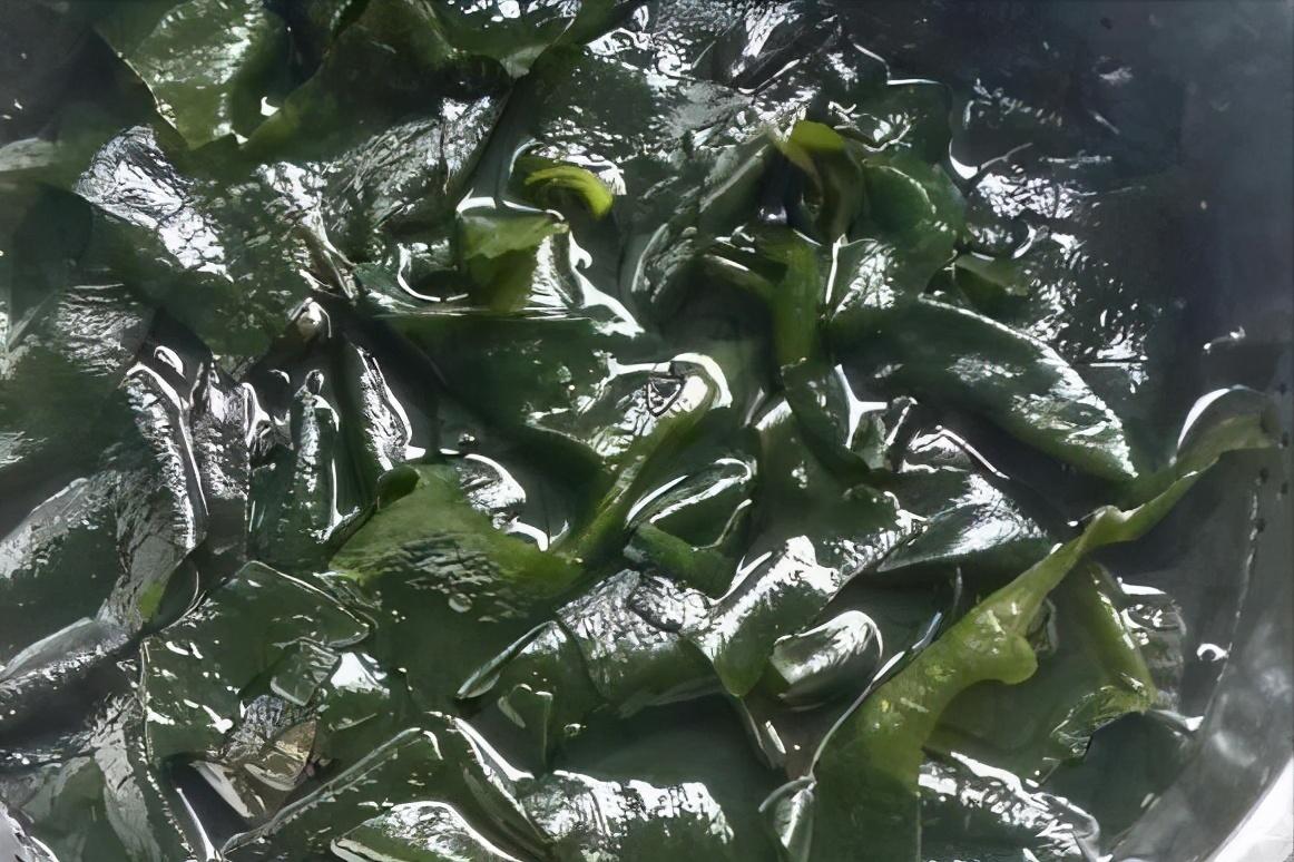 裙带菜好吃还是海带好吃？有什么区别？-8
