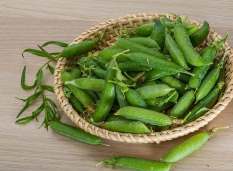 鲜豌豆煮多长时间能熟透-2