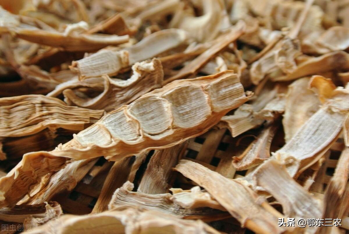 新鲜笋子怎么保存时间最长又好吃-2