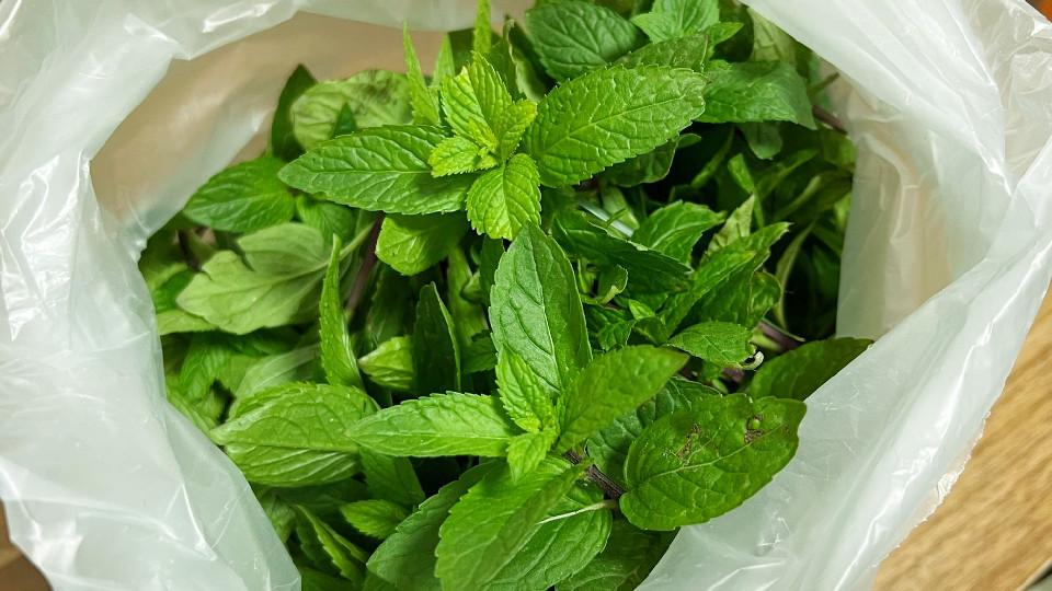 薄荷可以做什么菜 薄荷炒鸡蛋怎么炒-3