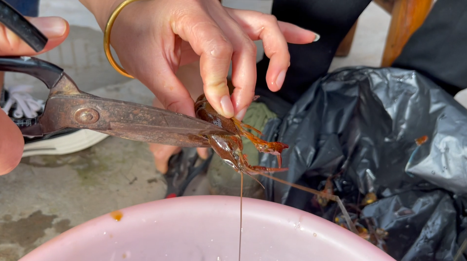 吃小龙虾最好的季节是几月份（比较好的龙虾怎么挑选）-7