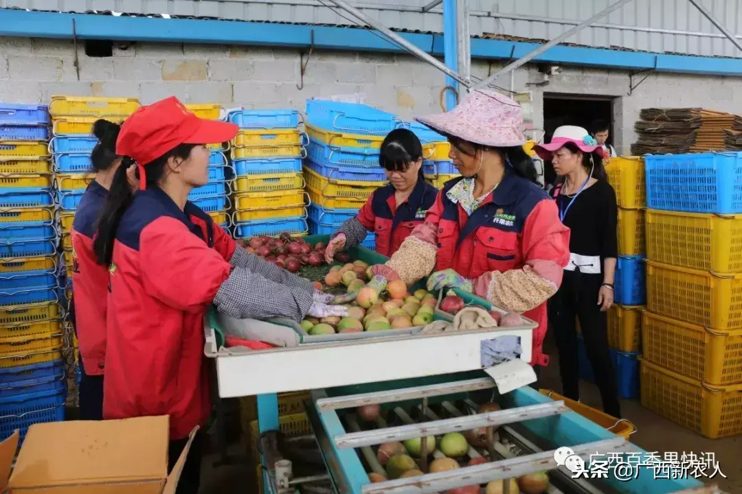 百香果为什么不能带壳放冷藏（百香果最佳保存方法）-2