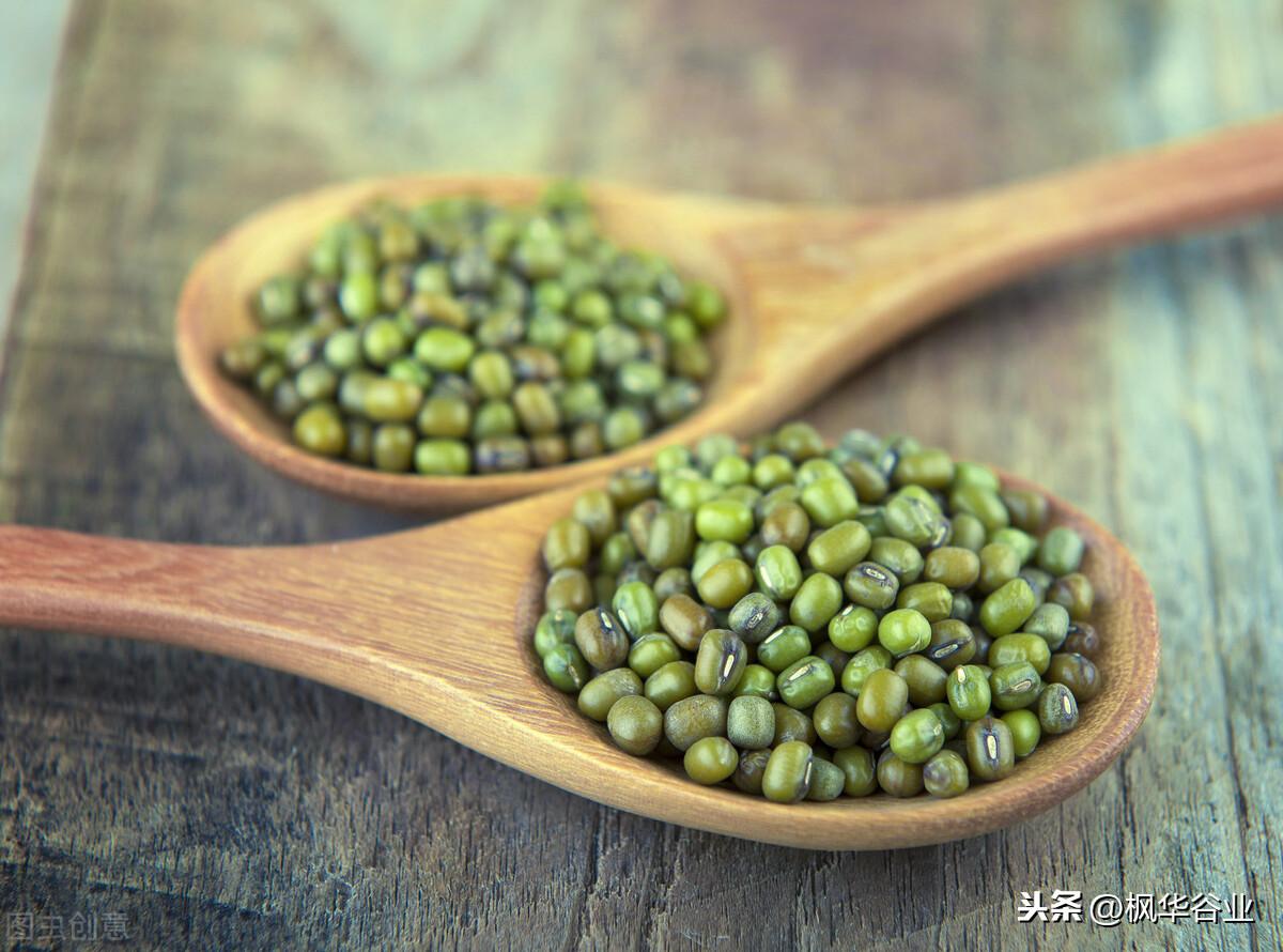 绿豆有保质期是一年吗？-4