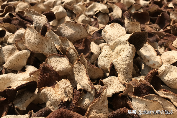 陈皮发霉后晒干还能食用吗（新会陈皮发霉的处理方法）-3