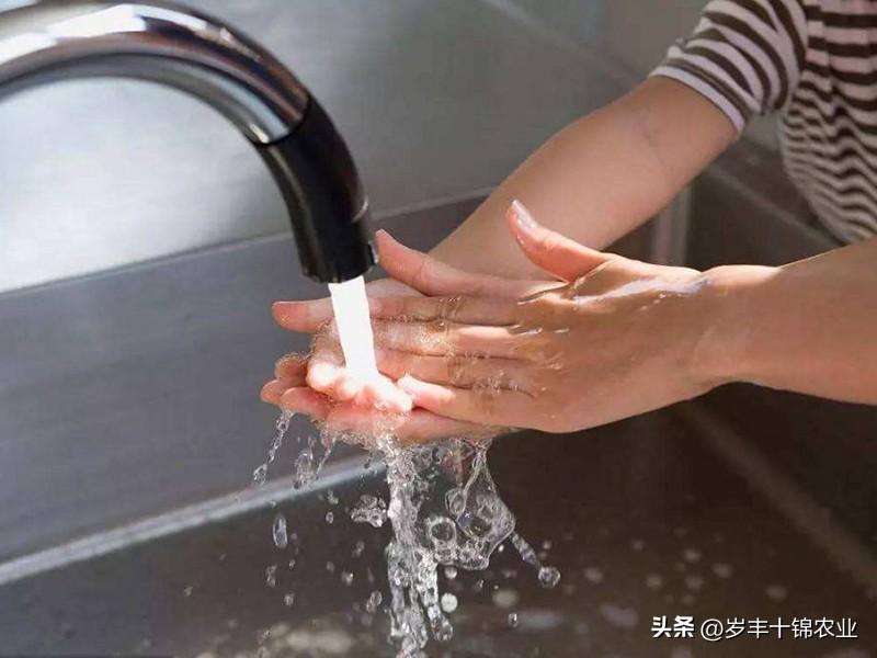 怎样才能切辣椒不辣手-8