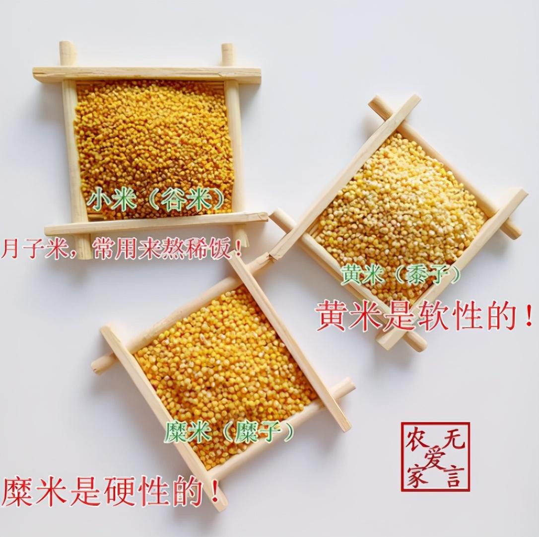 小米与黄米有什么区别？-6