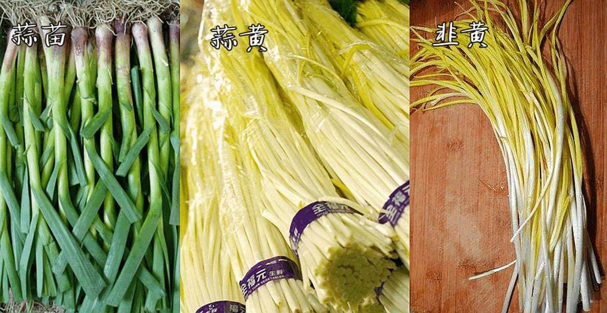 蒜黄和蒜苗是什么关系（蒜黄和蒜苔的区别是什么）-8