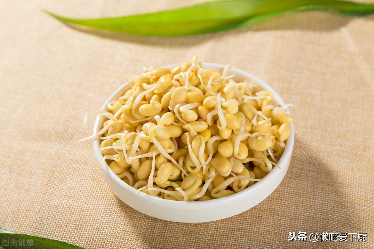 豆芽放冰箱可以保存几天（豆芽一般能在冰箱放几天）-9