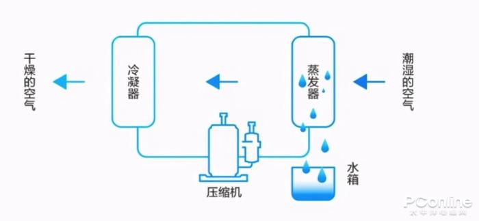 室内太潮湿用什么办法防潮好？-4