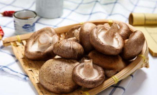 新鲜香菇放冰箱能放多久（干香菇和鲜香菇的区别）-2