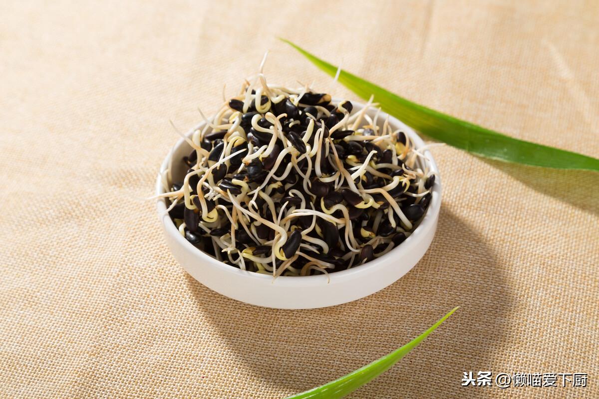 豆芽放冰箱可以保存几天（豆芽一般能在冰箱放几天）-8