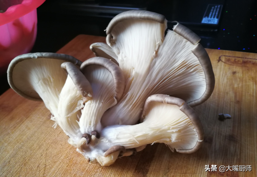 平菇可以放冰箱冷藏几天（平菇能否放冰箱）-1