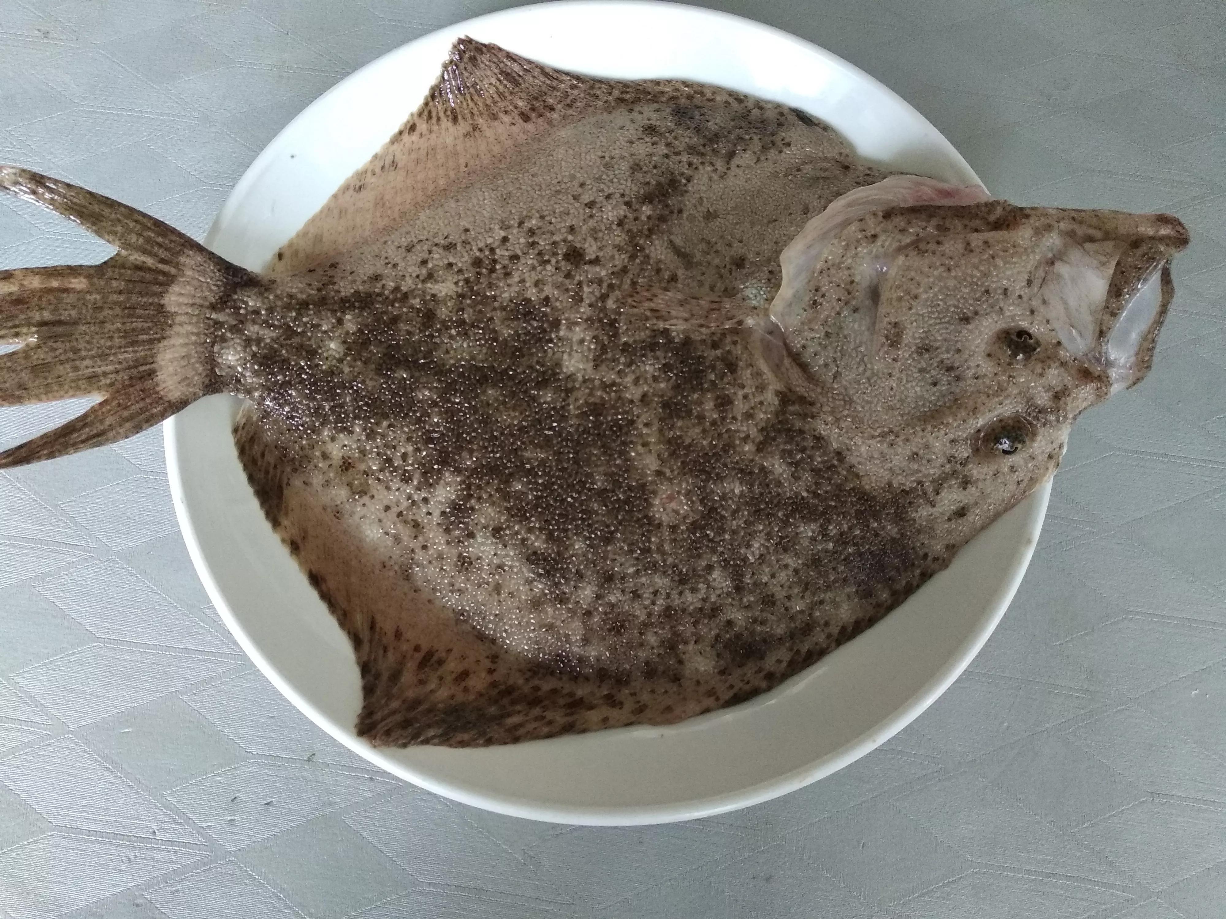 鲽鱼和鲆鱼的区别在哪里？-2