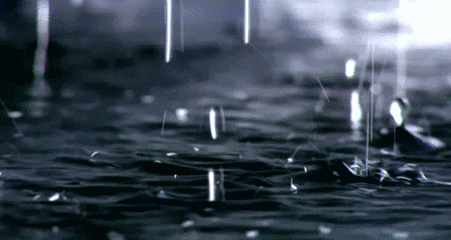 室内太潮湿用什么办法防潮好？-1