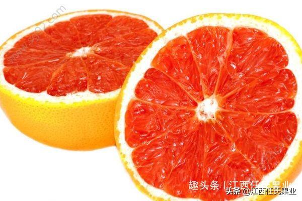 葡萄柚的正确吃法图解（葡萄柚怎么吃不苦）-1