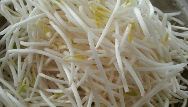 绿豆要泡多久才能发芽（绿豆要泡几个小时才可以种）-7
