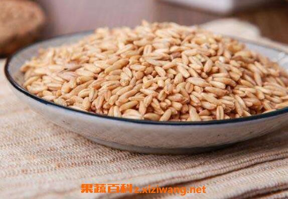 生燕麦米怎么煮才好吃（燕麦米如何吃法大全）-1