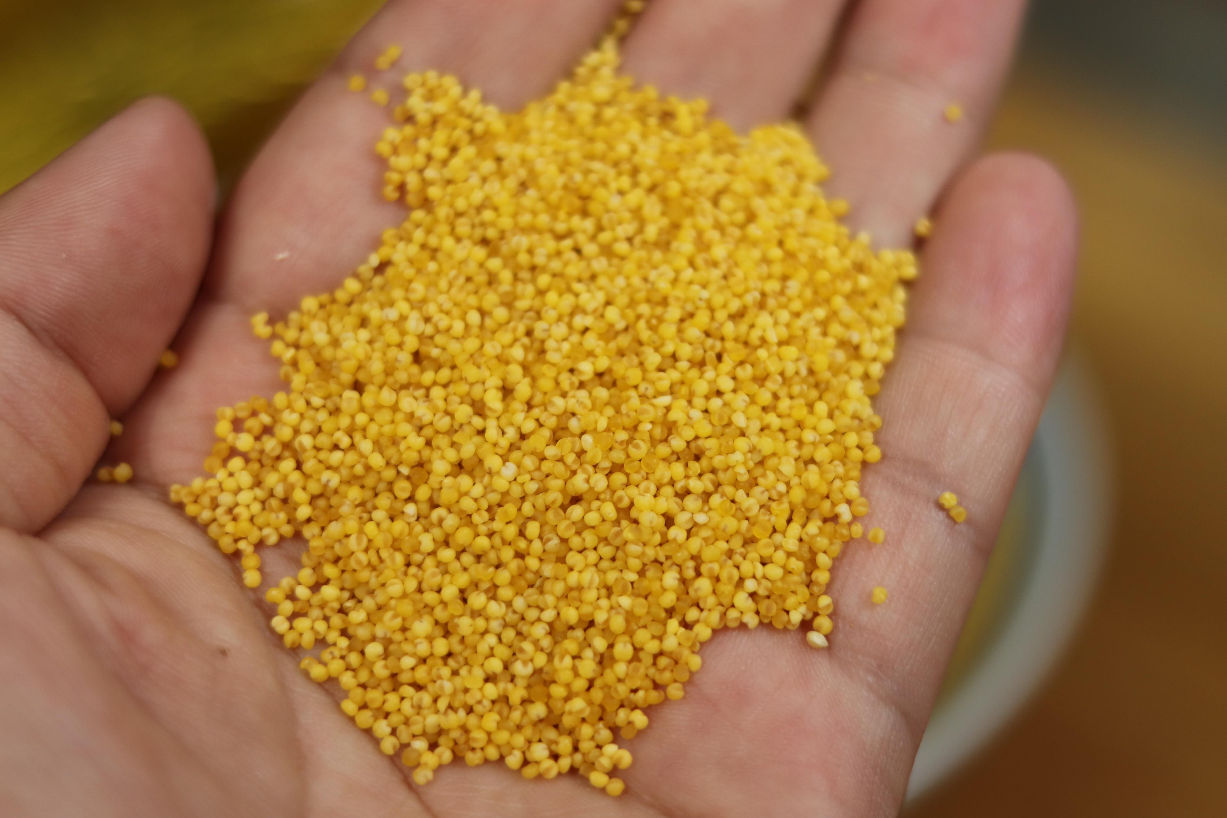 小米粥的做法水和米的比例（小米粥煮10分钟能熟吗）-7
